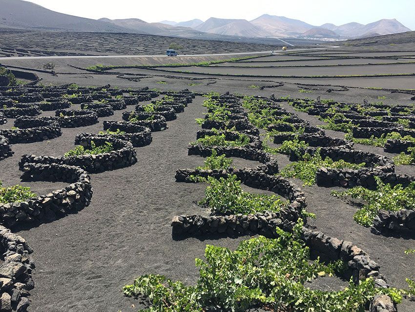 la geria lanzarote